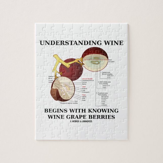 Puzzle El vino de comprensión comienza con saber la uva (Vertical)