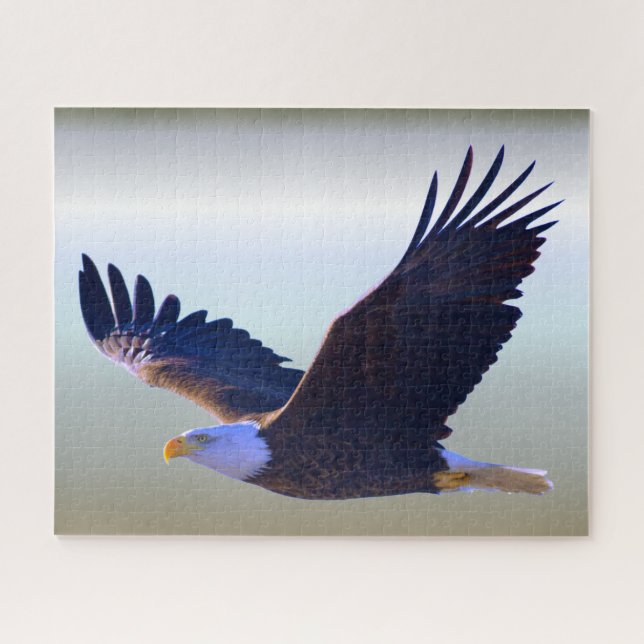 Puzzle El volar de Eagle calvo (Horizontal)
