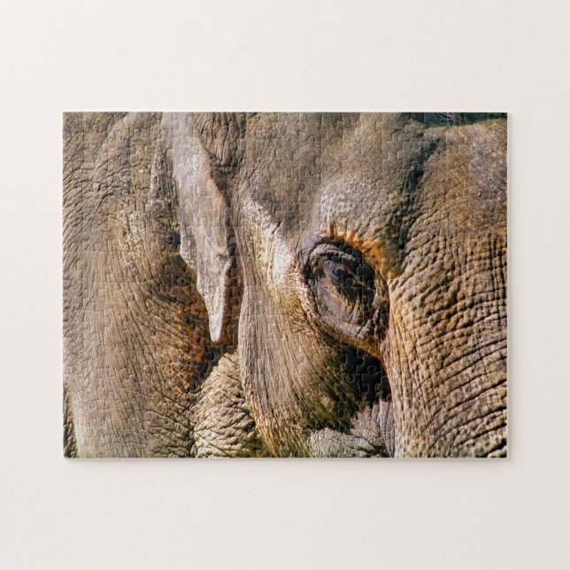 PUZZLE ELEFANTE (Horizontal)