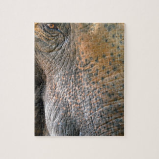 Puzzle Elefante