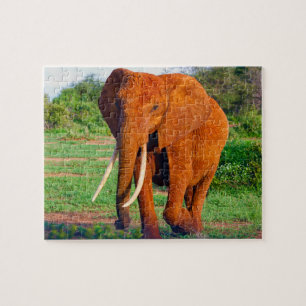 Puzzle Elefante Africano