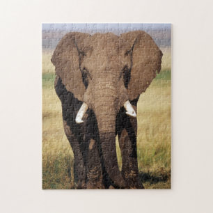 Puzzle Elefante africano de sabana