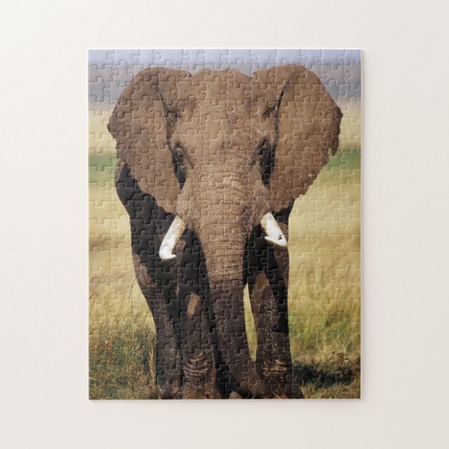 Puzzle Elefante africano de sabana (Vertical)