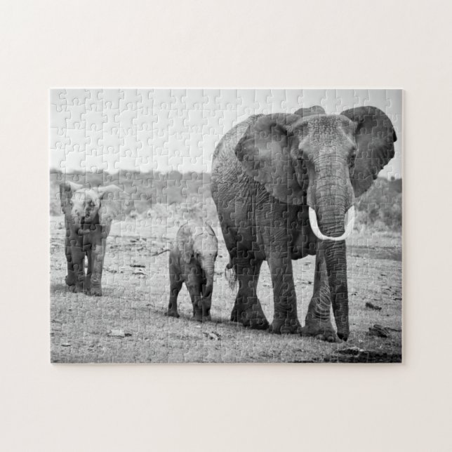 Puzzle Elefante africano y becerros el | Kenia, África (Horizontal)