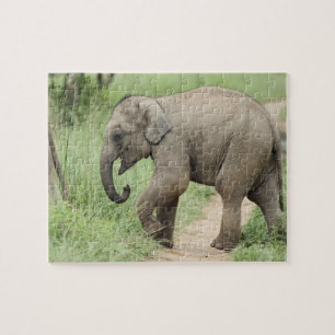 Puzzle Elefante bebé siguiendo a la madre, Corbett