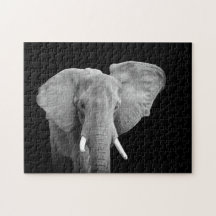 Elefante en blanco y negro