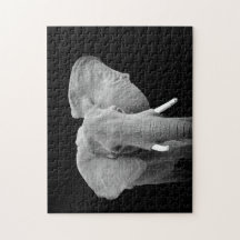 Elefante en blanco y negro