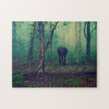 Elefante en el bosque.