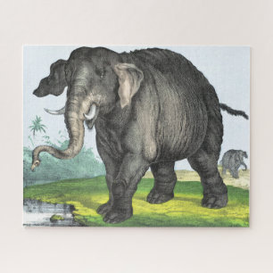 Puzzle Elefante gris