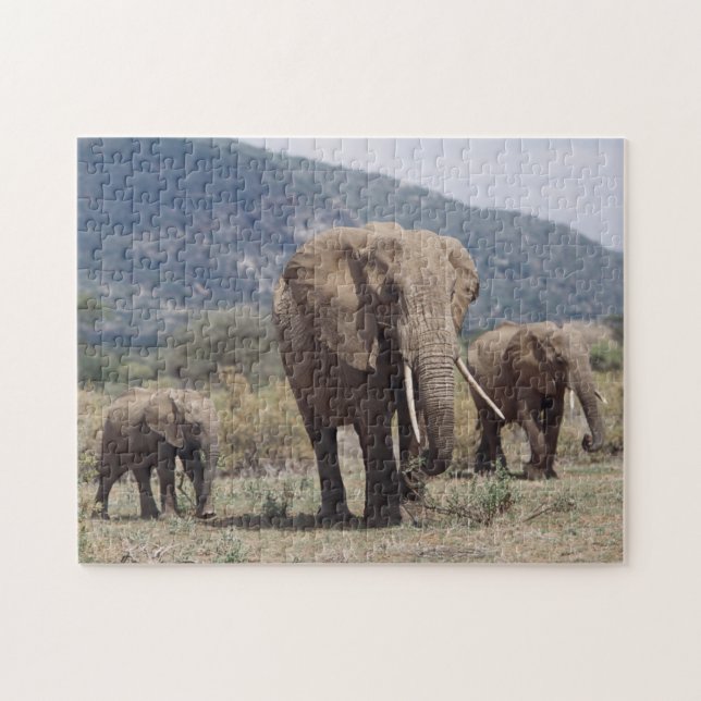 Puzzle Elefante madre caminando con ternera elefante (Horizontal)