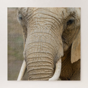Puzzle Elefante majestuoso cierra los gigantes de la natu