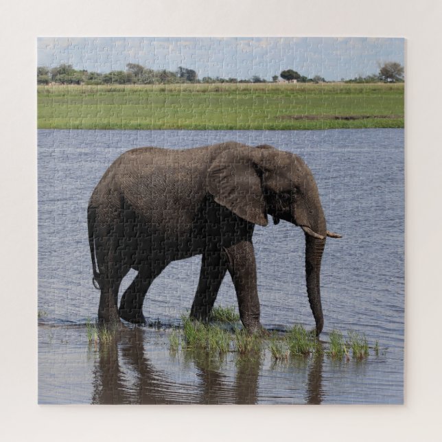 Puzzle elefante pacífico (Vertical)