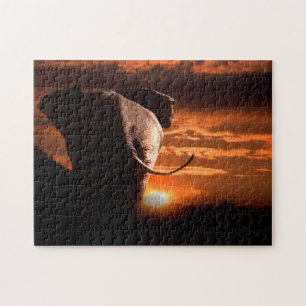 Puzzle Elefante toro africano al atardecer.