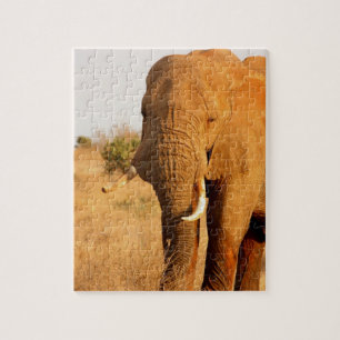 Puzzle Elefantes