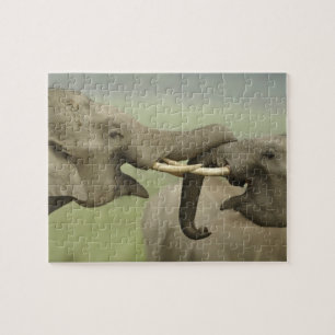 Puzzle Elefantes asiáticos indios jugando a pelear