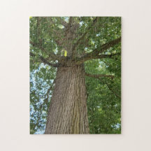 Elegancia desde arriba