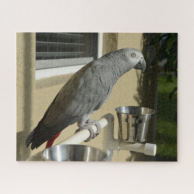 Puzzle Elegant Congo African Grey Parrot on Stand (Horizontal)