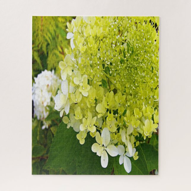 Puzzle Elegante Chartreuse Green Limelight Hydrangea (Vertical)