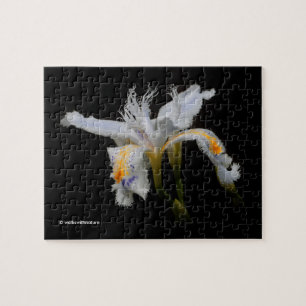 Puzzle Elegante flor blanca de iris enjaulada japonesa