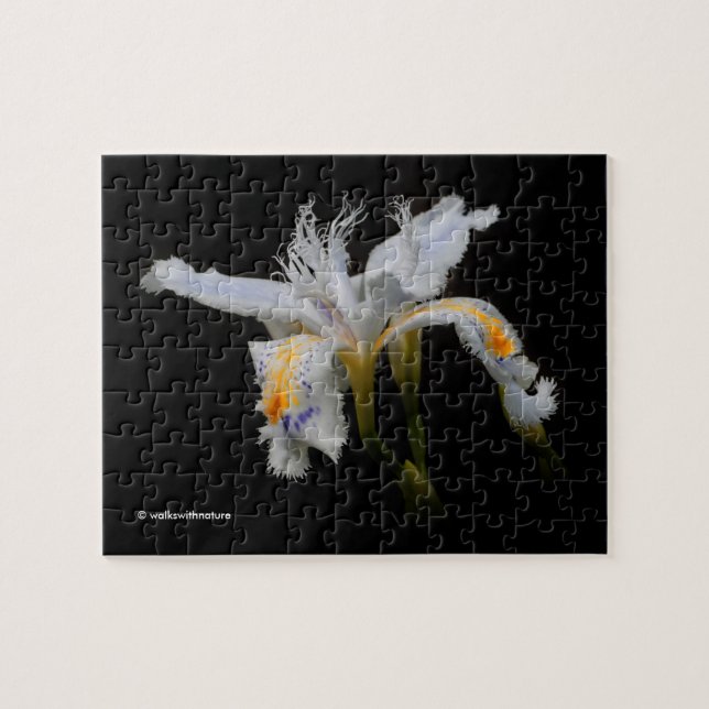 Puzzle Elegante flor blanca de iris enjaulada japonesa (Horizontal)