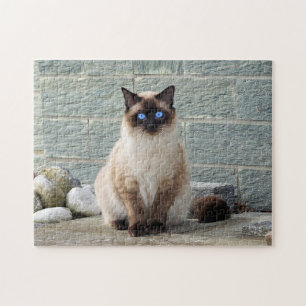 Puzzle Elegante foto de gato siamés