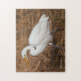 Puzzle Elegante Gran Egret en los carrizos