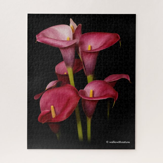 Puzzle Elegante púrpura Calla Lilies (Vertical)