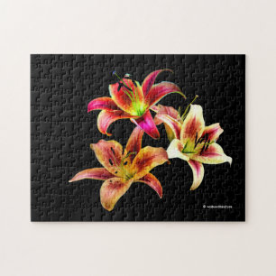 Puzzle Elegante trío de flores de Daylilies color rosa am