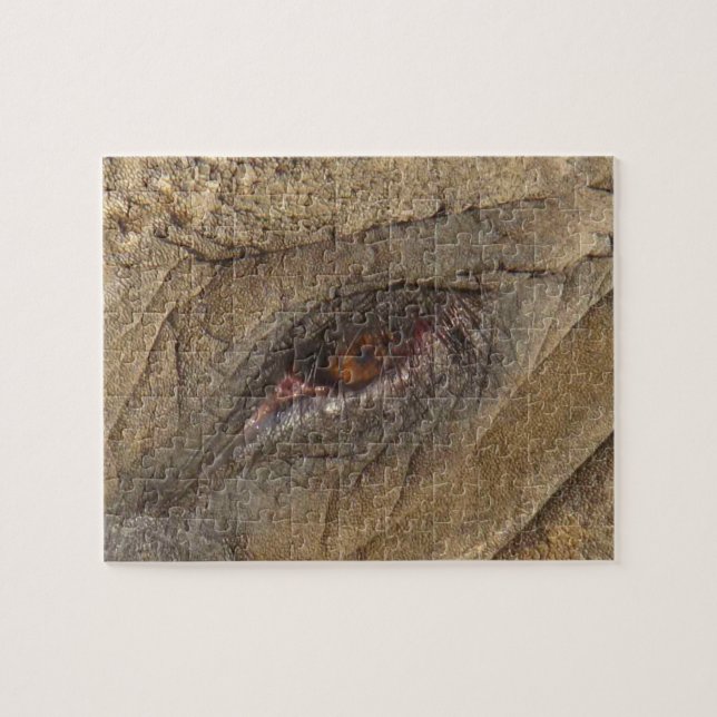 Puzzle Elephant Eye (Horizontal)