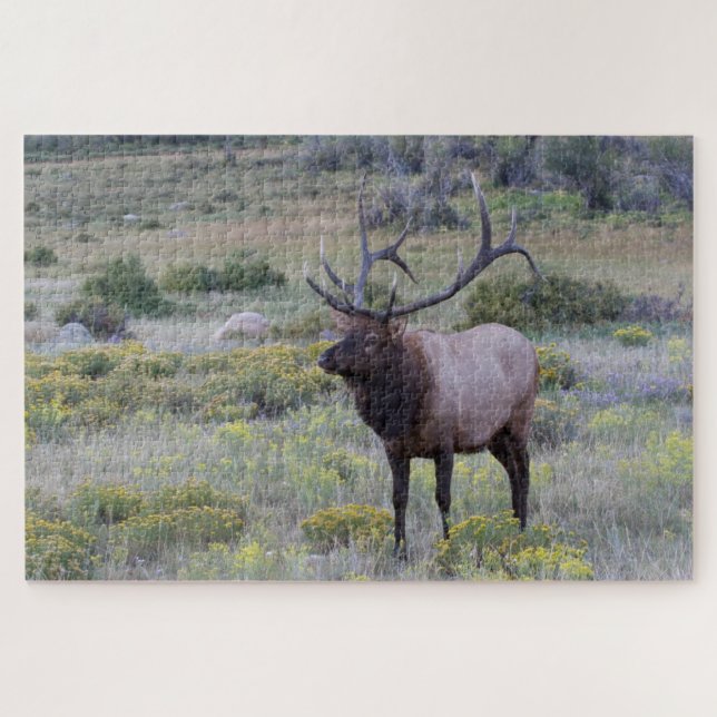 Puzzle Elk americano | Parque nacional Rocky, Colorado (Horizontal)
