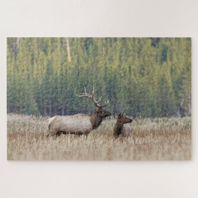 Puzzle Elk de toro en Meadow | Parque nacional Yellowston (Horizontal)