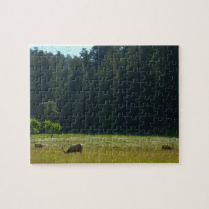 Puzzle Elk Meadow en el parque nacional de Redwood