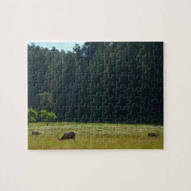 Puzzle Elk Meadow en el parque nacional de Redwood (Horizontal)