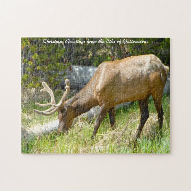 Puzzle Elk Yellowstone Montana. Saludos de Navidad (Horizontal)