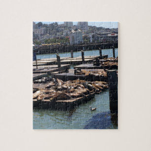 Puzzle Embarcadero 39 San Francisco California