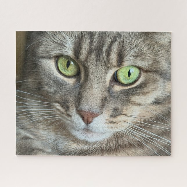 Puzzle Emerald Eyes – Portrait of a Green-Eyed Cat (Horizontal)