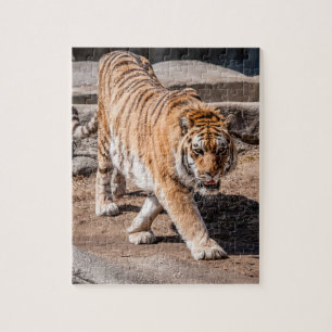 Puzzle Emplazamiento de tigres