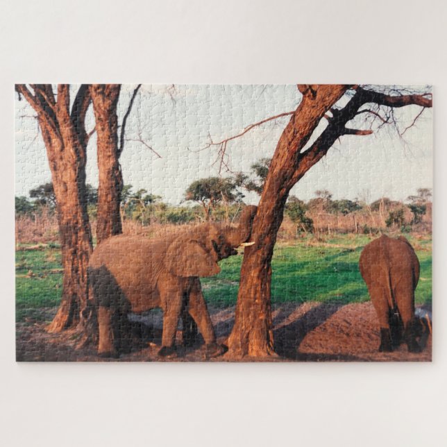 Puzzle empuje elefante (Horizontal)