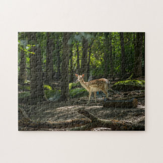 Puzzle En el bosque
