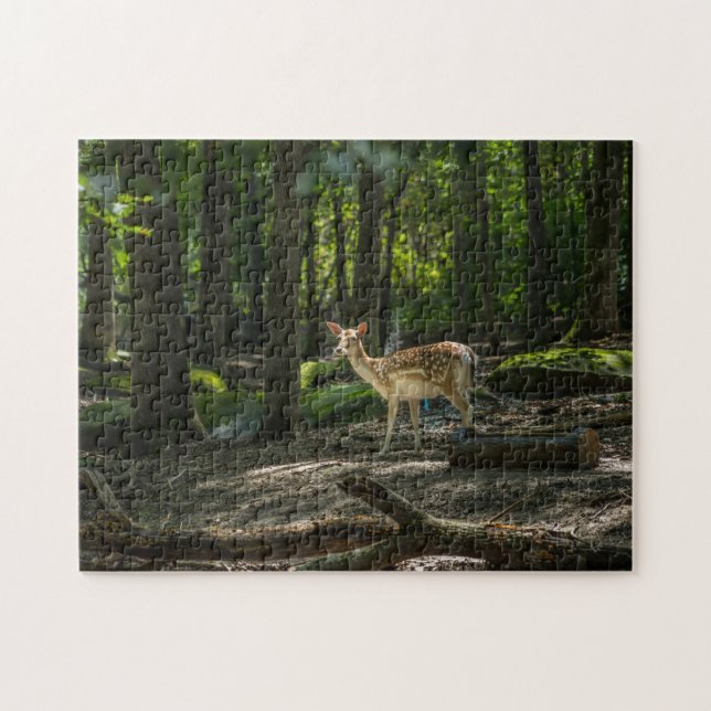 Puzzle En el bosque (Horizontal)