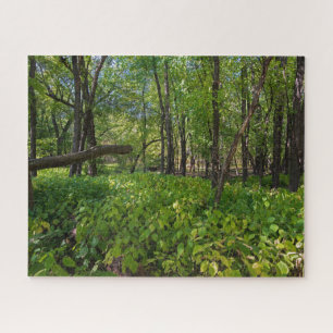 Puzzle en el bosque del fuerte snelling state park
