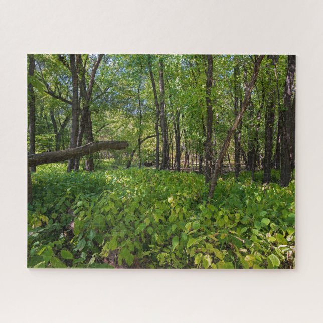 Puzzle en el bosque del fuerte snelling state park (Horizontal)