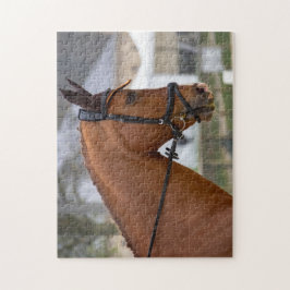 Puzzle En el Horse Show