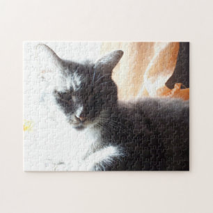 Puzzle En la luz del gato soleado o haz el tuyo propio