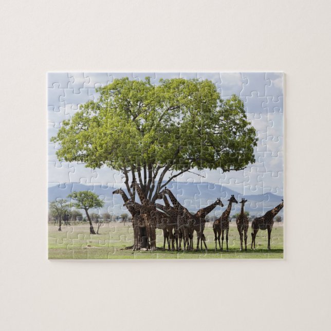 Puzzle En parque nacional del safari el | Mikumi, (Horizontal)