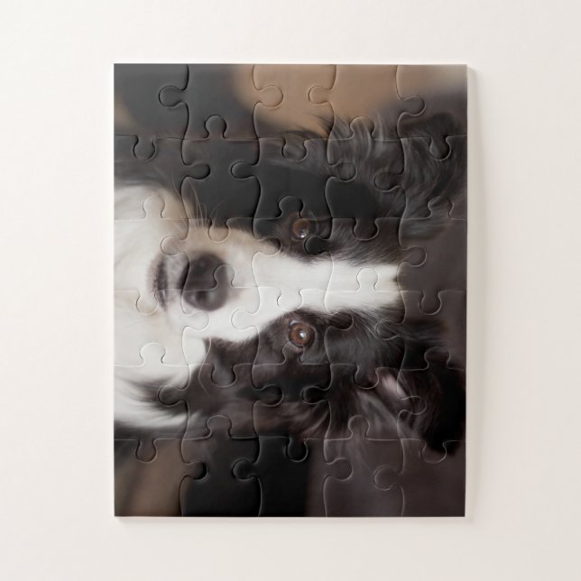 Puzzle Encanto de collie de borde (Vertical)