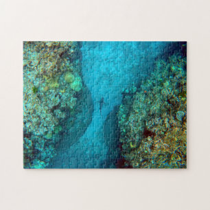 Puzzle ENCHUFE DE ARRECIFE PACÍFICO DE 11x14 PULGADAS