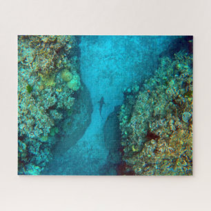 Puzzle ENCHUFE DE ARRECIFIQUE PACÍFICO DE 16x20 PULGADAS