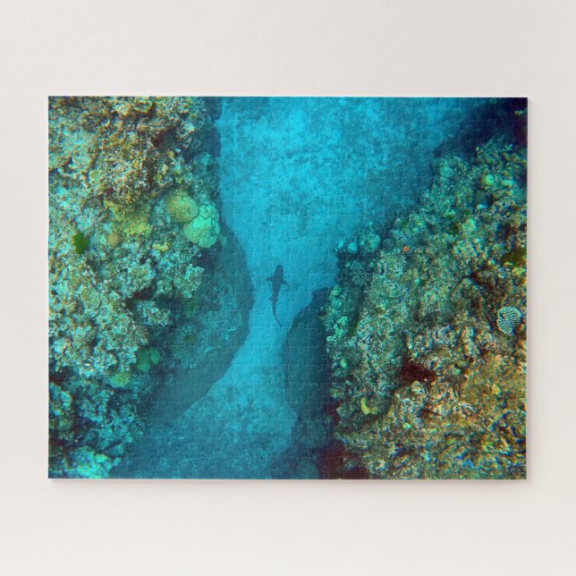 Puzzle ENCHUFE DE ARRECIFIQUE PACÍFICO DE 16x20 PULGADAS (Horizontal)
