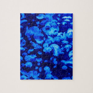Puzzle Enjambre de medusas